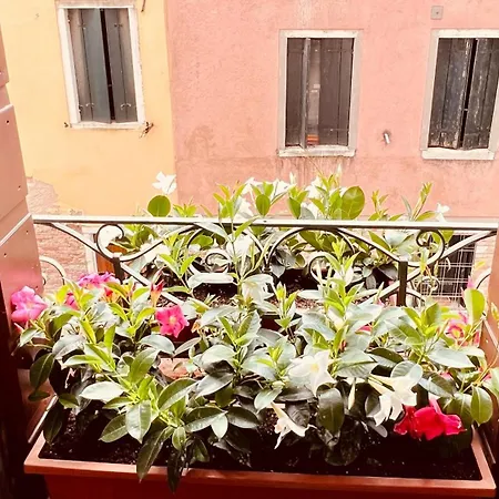 Corte Dei Quadri Simoni * Venezia